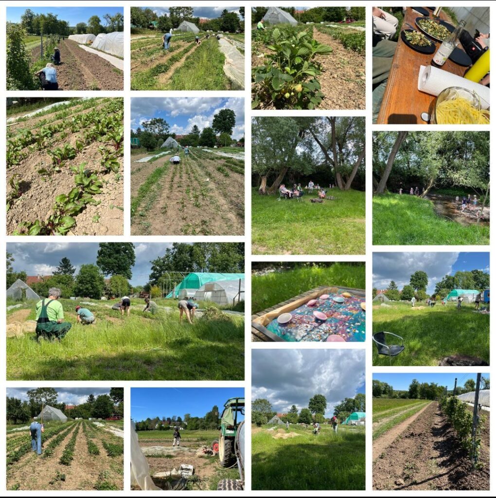 Gartentag Mai 2025