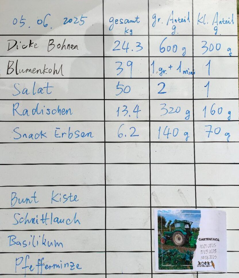 Die Gemüseausgabe vom 05.06.2025
Das Schild mit den Mengenangaben für den Großen beziehungsweise für den Kleinen Anteil.